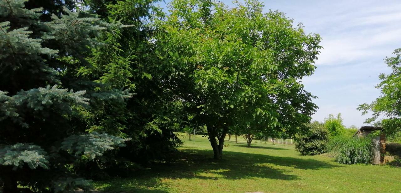 Gesztenye Vendégház Ságvár Exterior foto