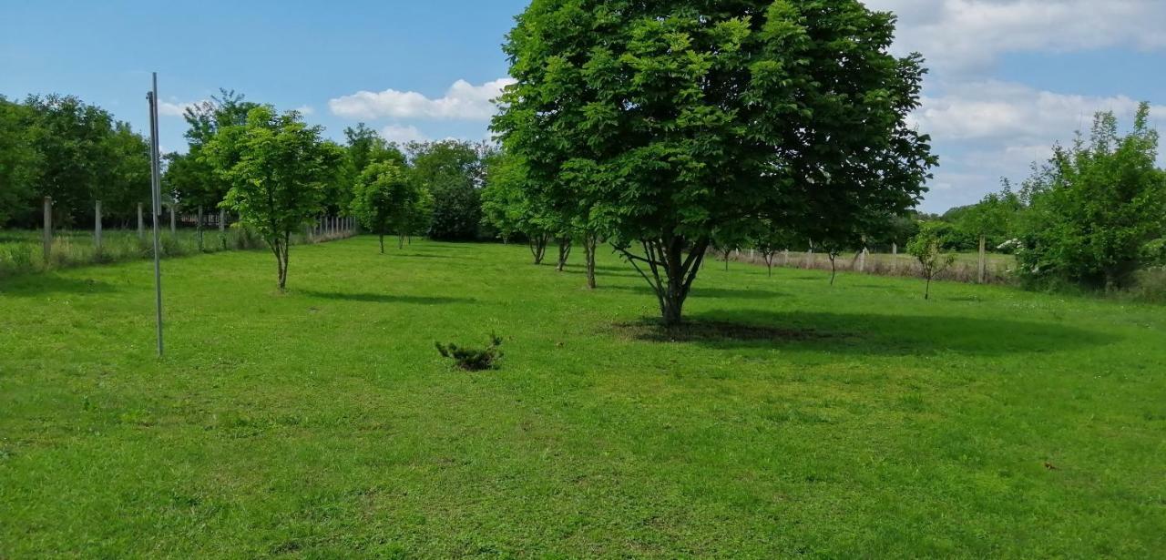 Gesztenye Vendégház Ságvár Exterior foto
